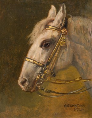 Alexander Pock: Pferdekopf