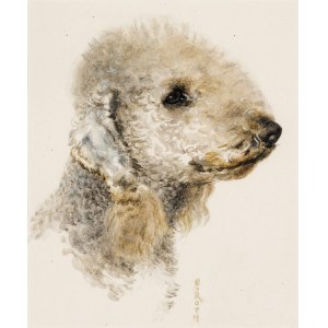 Norbertine Bresslern-Roth: Bedlington Terrier