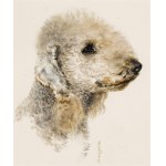 Norbertine Bresslern-Roth: Bedlington Terrier