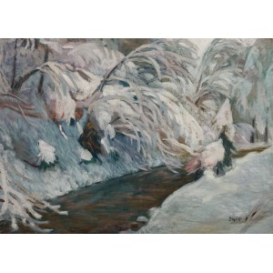 Sebastian Isepp: Bach im Winter