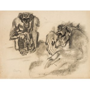 Ludwig Heinrich Jungnickel: Affen