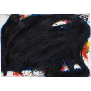 Arnulf Rainer: Ein Drähnindianer