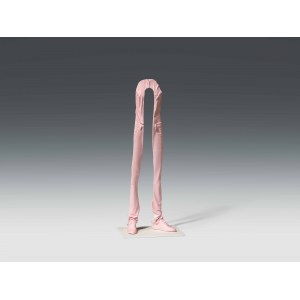 Erwin Wurm: Gate (aus der Serie Skins)