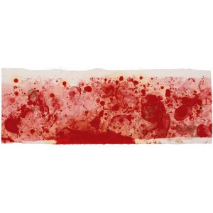 Hermann Nitsch: Aktionsrelikt