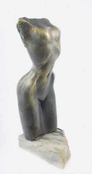 Aleksander ŚLIWA (ur. 1948), Tors