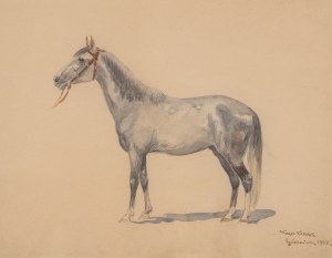 Karol Kossak (1896 Lviv-1975 Ciechocinek), Horse, 1925.