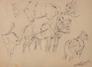 Karol Kossak (1896 Lwów-1975 Ciechocinek), Skizzen von Pferden