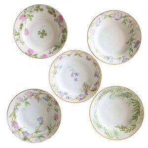 Zestaw 5 porcelanowych talerzy, Limoges, Francja / Charles Field Haviland, Gerard, Dufraesseix & Morel