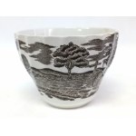 Porcelanowa filiżanka ze spodkiem, Myott Royal Mail Fine Staffordshire Ware