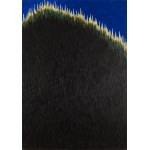 Tomasz Tatarczyk (1947 Katowice - 2010 Warsaw), Black Hill. - diptych, 1990
