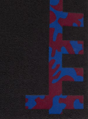 Hanna Zawa-Cywińska (ur. 1939), 