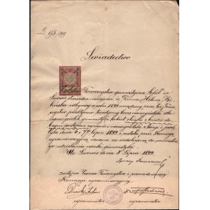[Towarzystwo Gimnastyczne SOKÓŁ we Lwowie] Świadectwo z 8 lipca 1899 r. Podpisy m. in. Antoniego Durskiego