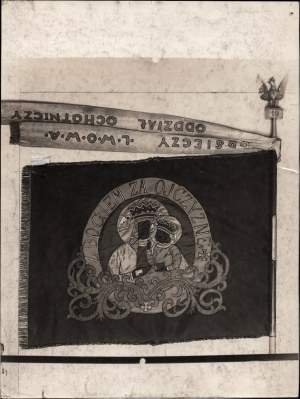 19th Infantry Regiment of the Relief of Lviv] Photograph of the banner of the 19th Infantry Regiment of the Relief of Lviv.