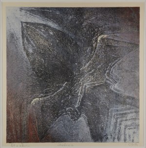 Henryk OPAŁKA (1929-2018), Volo nella nebulosa