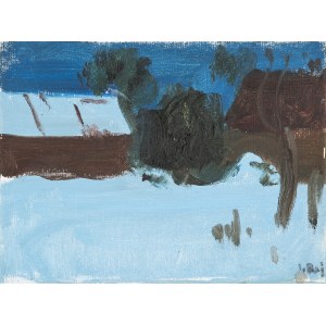 Stanisław Baj (ur. 1953, Dołhobrody), Moje podwórko w Dołhobrodach