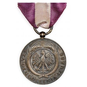 MEDAL ZA DŁUGOLETNIĄ SŁUŻBĘ (XX lat), IIRP