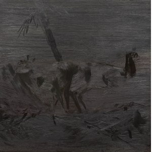 Aneta Kublik (b. 1992), Seeing the invisible, 2018