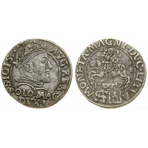 Poland, penny, 1547, Vilnius