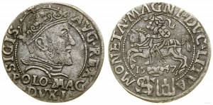 Poland, penny, 1547, Vilnius