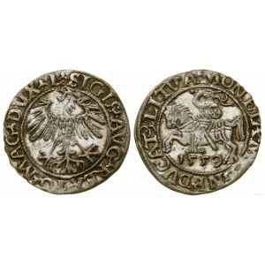 Poland, half-penny, 1559, Vilnius