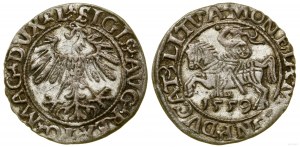 Poland, half-penny, 1559, Vilnius