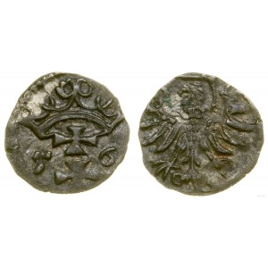 Poland, denarius, 1556, Gdansk
