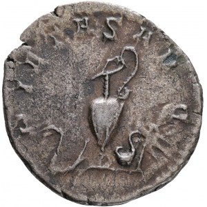 1 Antoninian 256-258 SALONINUS as Caesar , PIETAS AVG, Lugdunum Gaul R!