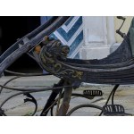 Pittner Smethills showpiece sleigh
