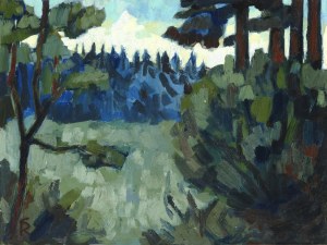 Rottluff-schmidt Karl