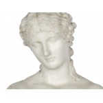 Bust