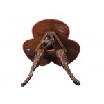 Shell-shaped grotto table, Venice, around 1880