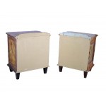 Pair of rustic bedside cabinets