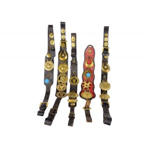 Mixed lot of 5 leather straps