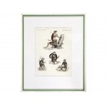 3 selected engravings with monkey motifs, 18th century