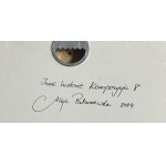 Alicja Patanowska, Autres histoires. Composition 8