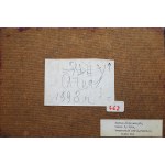 Wojciech Sadley, Suaire I, 1998