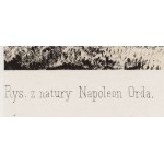 Napoleon Orda (1807 Voroceviči pri Pinsku - 1883 Varšava), Peripiatycha, 1875