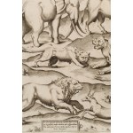 Antonio Lafreri (1512 Orgelet - 1577 Rzym), Dzikie zwierzęta z antycznych malowideł (Speculum Romanae Magnificentiae), 1547