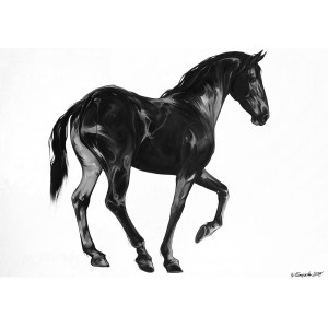 Weronika Formejster, Black, 2024