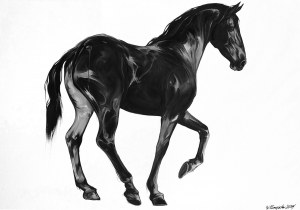 Weronika Formejster, Czarna, 2024