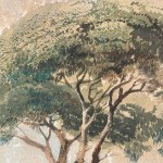 UNIDENTIFIED SIGNATURE, Wooded landscape