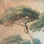 UNIDENTIFIED SIGNATURE, Wooded landscape