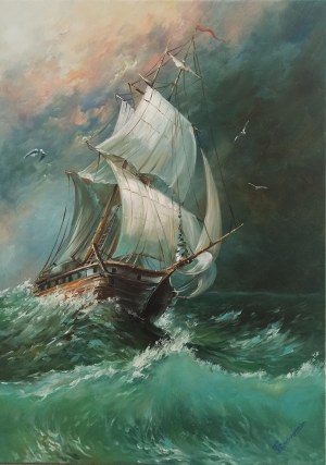 Tomasz Bednarski, W rejs