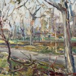 CANZANELLA, Landscape - Canzanella