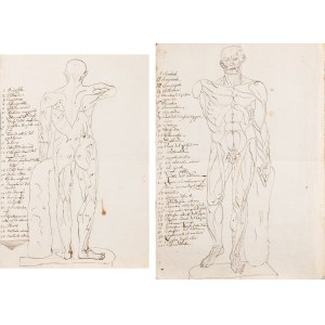 [ANATOMIA] Artysta NIEOKREŚLONY (XVIII w.), Dwie plansze z anatomią ciała ludzkiego z przodu i z tyłu, Włochy XVIII w.