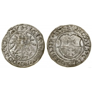 Polska, grosz, 1535, Elbląg