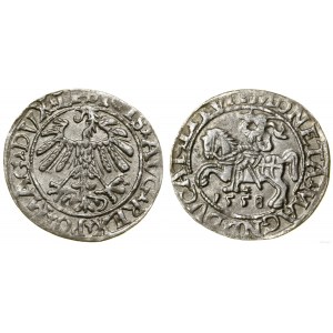 Polska, półgrosz, 1558, Wilno