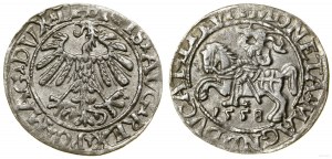 Polen, halber Pfennig, 1558, Vilnius