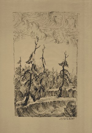 Triebler Piotr