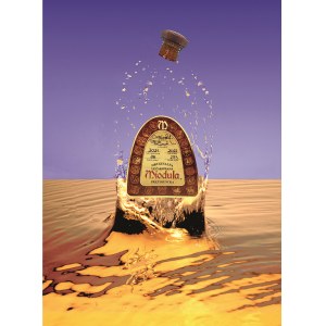 Affiche originale Honey Splash de Ryszard Horowitz 2022